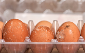 雞蛋發黴洗乾淨能吃？專家曝5症狀示警 高溫殺不掉毒素