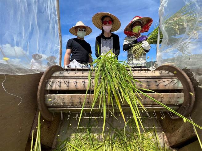 近年屏东车城乡四重溪休閒农业区积极推广在地温泉米，为此，第2届「温泉米的故乡－稻町来呷饭」将于27日在四重溪可以居民宿登场。（屏县府提供／谢佳潾屏东传真）