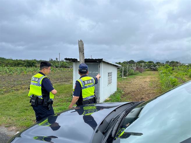 夏雪芒果产量少高单价，易成为窃贼下手的目标。（台东县警察局提供／萧嘉蕙台东传真）