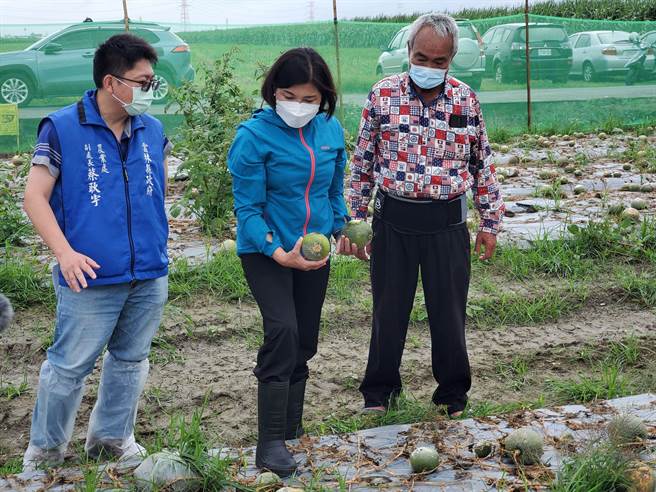 云林县的农业产值是全台最高，每年申请天然灾害救助案件与频率也最高，审计部要求计算天然灾害救助面积时要扣除农路、水塘、空地、农舍等面积，对云林县农民相当困扰，图为云林县长张丽善（中）去年勘查一处受水灾损害严重的香瓜田。（本报资料照片／周丽兰摄）＿