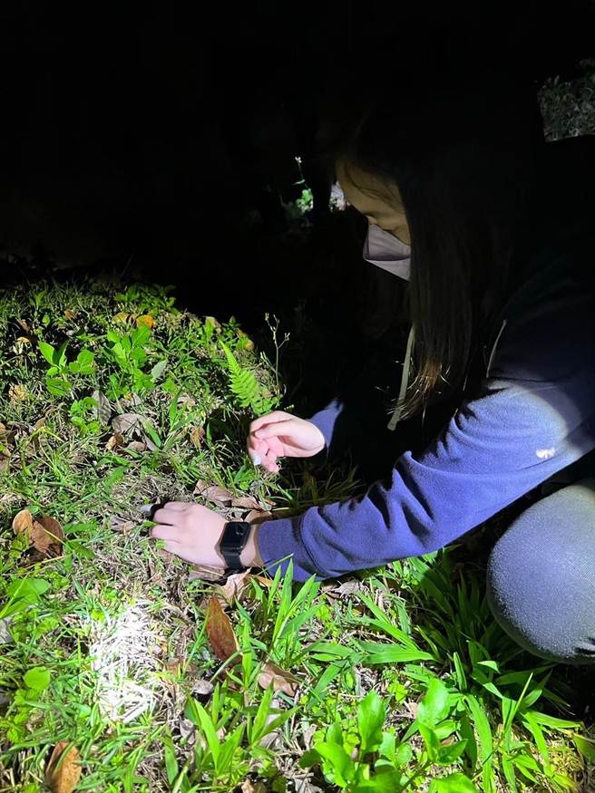 小朋友在夜晚手牵手游园，发觉夜晚生态更多奇妙的样貌。(宜兰力丽威斯汀度假酒店提供)