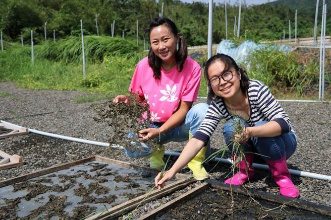 从「情人的眼泪」找到人生目标，前空姐丁采纶（左）获全国农业达人选拔季军。（谢佳潾摄）