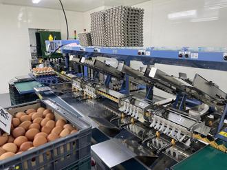 農委會要求業者加強雞蛋洗選管理 確保食品安全