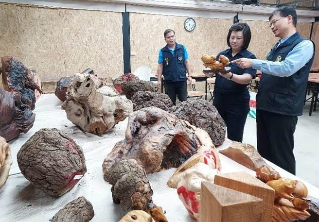 保七第五大队与新竹县、台中市警方以及新竹林管处、苗栗专勤队跨单位合作，破获山老鼠集团，起出珍贵林木及木艺品共617公斤。（警方提供／邱立雅竹县传真）