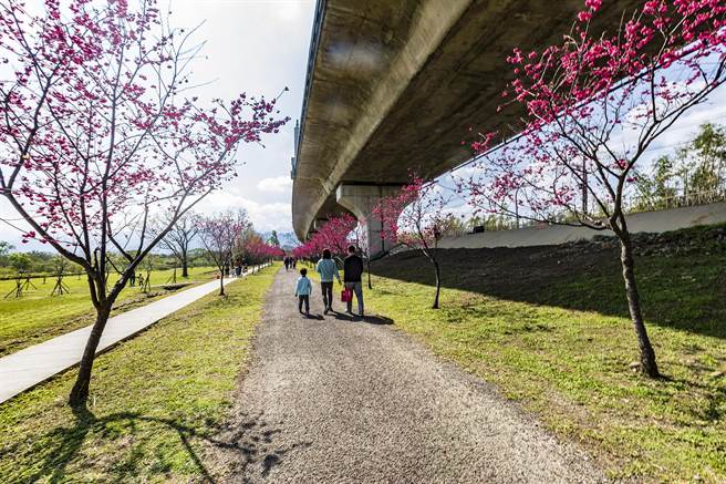 县议员杨昌德建议竹东河滨公园改名为「竹东左岸公园」，在东西向下桥墩沿线、园内步道和自行车道装设LED灯，方便民眾夜间休閒运动。（罗浚滨摄） 