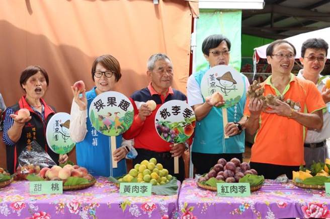 苗栗县副县长邓桂菊25日主持大湖姜麻园桃李季启动，欢迎大家同来一品新鲜甜美的桃李。（苗栗县政府提供／谢明俊苗栗传真）