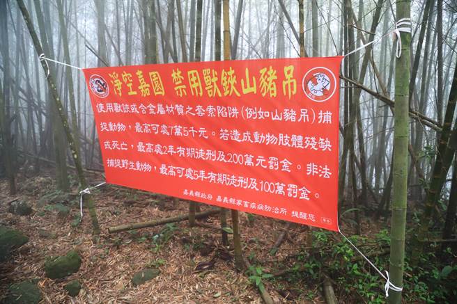 嘉县府推动「兽铗净空嘉园专案」。（嘉义县政府提供／廖素慧嘉县传真）