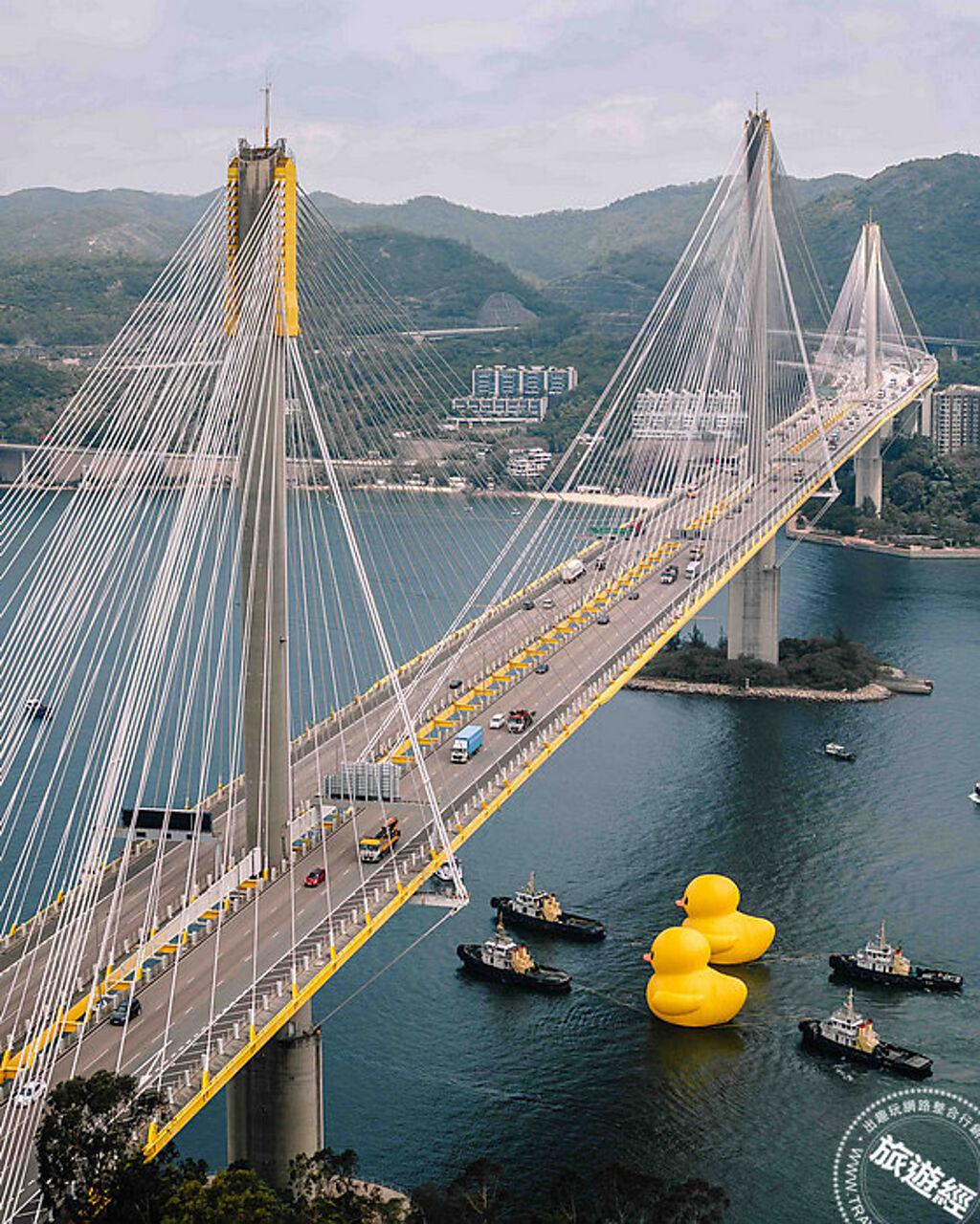 哇！巨型黃色小鴨不是一隻，是一對，在香港再度現身。（圖／港旅局）