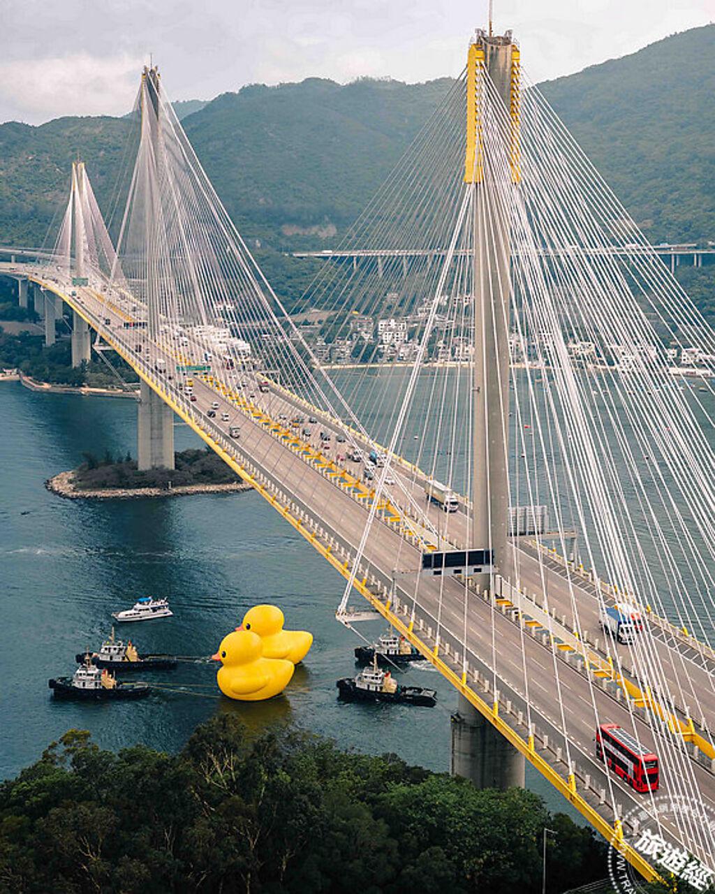 哇！巨型黃色小鴨不是一隻，是一對，在香港再度現身。（圖／港旅局）