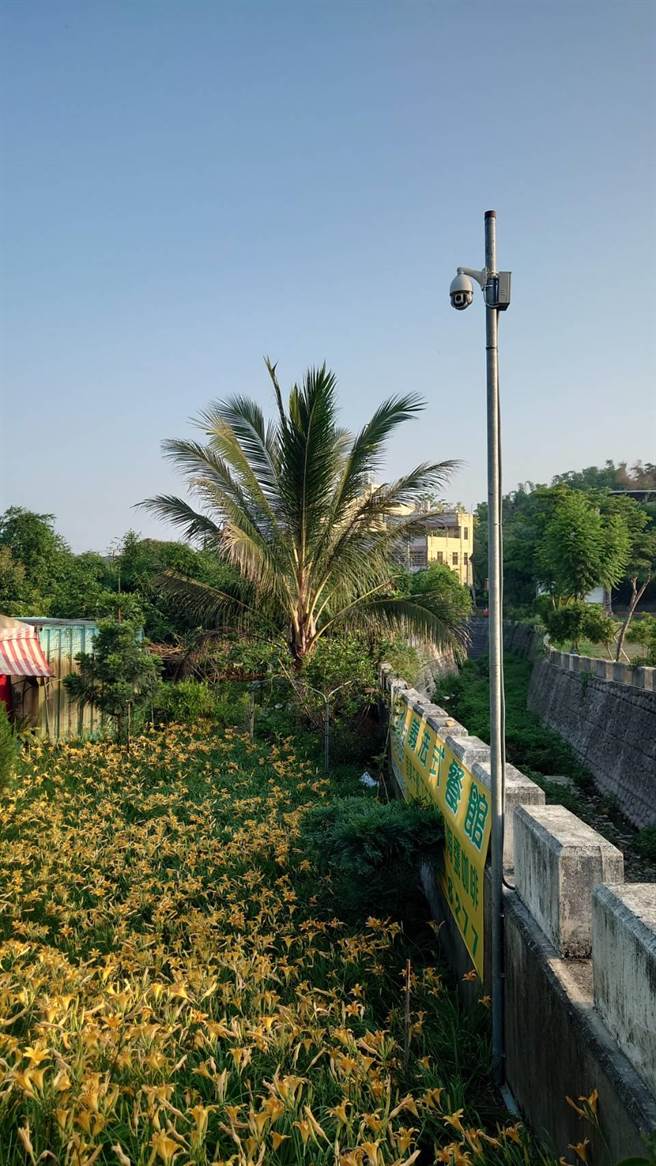 参山处在彰化花坛虎山巖金针花园区设置摄影机，直播园区花况。（陈姓游客提供／孙英哲彰化传真）