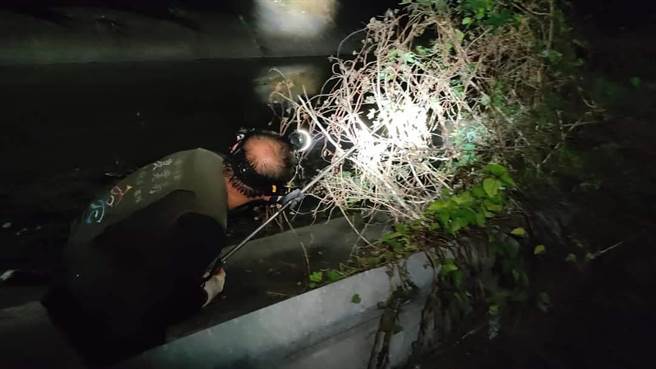 农业局委外专业团队于5月24日前往大寮区会结里勘查，一举捉到74只大大小小的绿鬣蜥。（高雄市农业局提供／林雅惠传真）