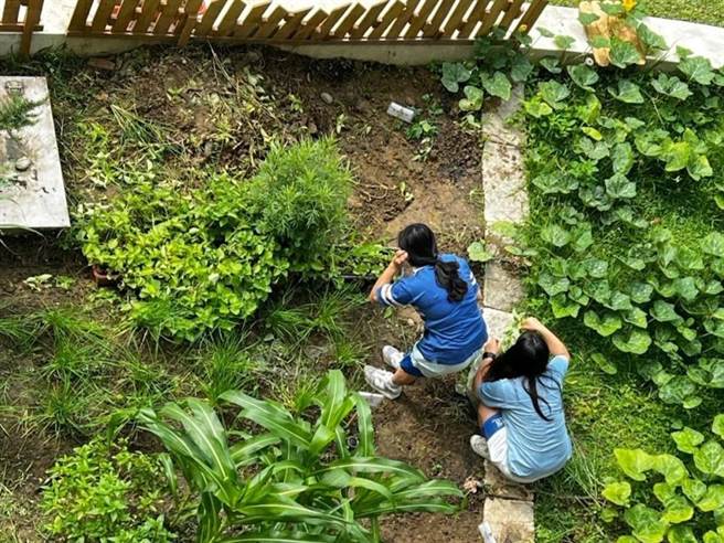 台中乌日区明道中学第2年与乌日农会合作推广校园食农教育，3月时由技术高中部餐旅群学生种下南瓜。（明道中学提供／潘虹恩台中传真）