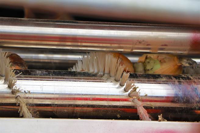 高雄农改场开发出「洋葱採收机」，不同于日本进口的收穫机，它从採收、土块分离至剪叶完成一贯化作业，大幅减少採收人力成本。（谢佳潾摄）