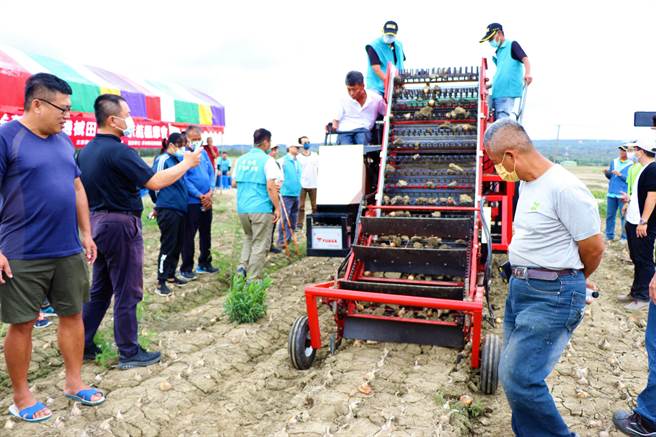 高雄农改场开发出「洋葱採收机」，不同于日本进口的收穫机，它从採收、土块分离至剪叶完成一贯化作业，大幅减少採收人力成本。（谢佳潾摄）