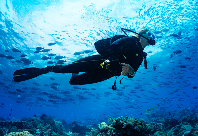 一名潜水夫沉入水下，开始清理水下物件上面的藤壶的时候，一条调皮的大鱼一直在旁边捣蛋。（示意图 Shutter Stock）