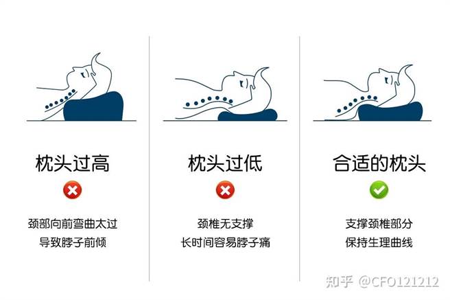 中医师刘恩劭建议正确使用枕头的方式。（刘恩劭提供）