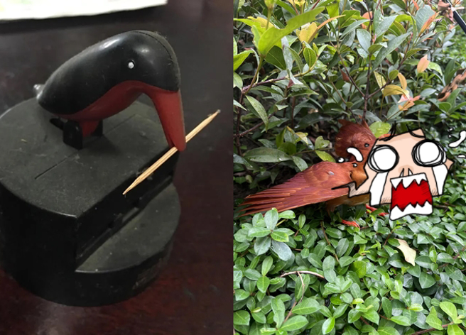 男子在草丛中意外发现「火红大嘴鸟」，靠近关心还不小心咬到但不痛，于是拍下PO网求助网友解答。（翻摄自脸书爆废公社）