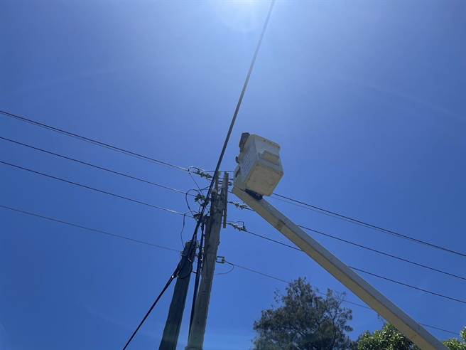 金门地区西半岛今（29日）上午又突然发生停电事故，经查原因鸟类碰触避雷器致使镇西线小环路跳脱，造成金寧乡共有1229户停电。（台电提供）