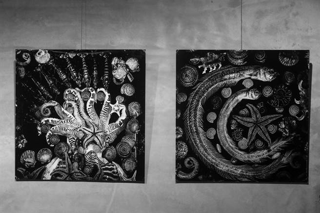 此次展出作品中《水卒馆》创作于北海岸，主要取材于海洋生物，更多是渔民在海上捕捉上岸的渔货，在很多人眼中牠们就是个食材，而林添福认为这是大海、大自然的美好资源，不仅是大海馈赠人类的奇特美食，同时也是奇特生物。（邓博仁摄）