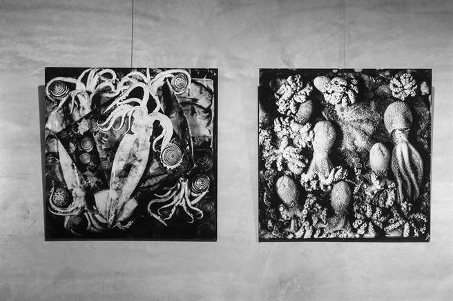 此次展出作品中《水卒馆》创作于北海岸，主要取材于海洋生物，更多是渔民在海上捕捉上岸的渔货，在很多人眼中牠们就是个食材，而林添福认为这是大海、大自然的美好资源，不仅是大海馈赠人类的奇特美食，同时也是奇特生物。（邓博仁摄）