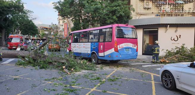 今29日17时25分台北市大安区辛亥路三段157巷24弄口，现场1棵路树倒塌 （高度约13公尺、直径约1公尺），消防局获报到场协助围警戒线并清除部分树枝恢復单线通车。（图／北市消防局提供）