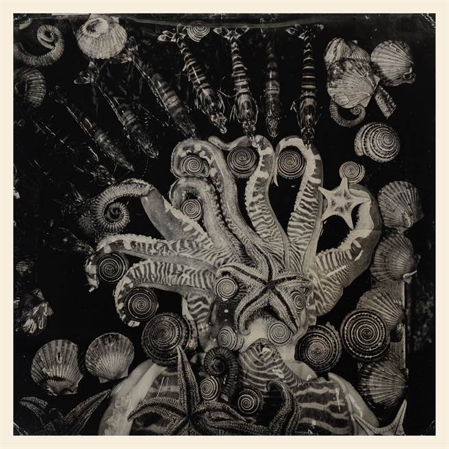 《水卒馆》（林添福提供）