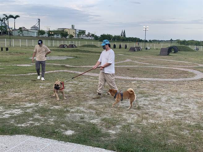 环保局提醒饲主遛狗不要留便，发挥公德心。（示意图／王志伟摄）