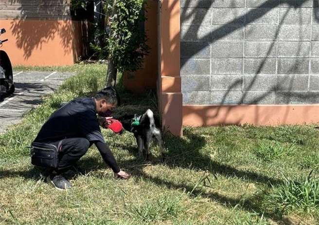 环保局提醒饲主发挥公德心，一起维护环境整洁。（花莲县环保局提供／王志伟花莲传真）