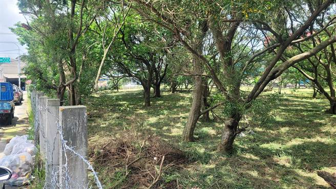 桃园市都市发展局目前正针对尚未具体利用的土地进行盘点，通盘检视后研议作更有效的利用。图为新屋区民族路六段与新屋公二公园中间的机关用地。（陈睿生提供／蔡明亘桃园传真）