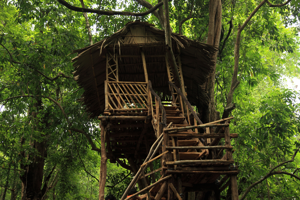 你能想像自己住在叢林裡的樹屋度日嗎？美國有個男人已經過起這種生活了。（示意圖／Shutterstock）
