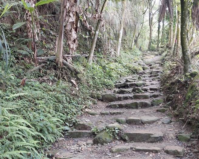 嘉义林管处6月1日至3日安排枯立木伐除及修枝作业，为维护民眾安全，步道将暂停开放。（嘉义林管处提供／张毓翎台南传真）