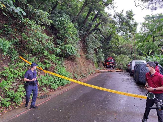 北投区奇岩里崇仰一路3号前，下午一时有树干从边坡倒下压到2台车。（北投区公所提供）