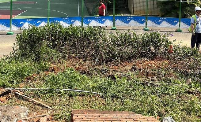 桃园市中坜区龙东路巷弄拓宽砍除树木，民代建议市府应设法克服土地、经费等问题新设树木银行。（梁为超提供／吕筱蝉摄）