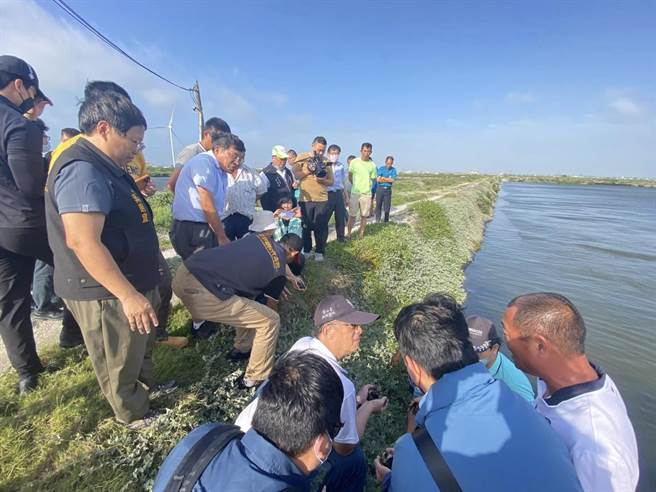 云林县麦寮乡文蛤大量死亡却未列入救助区，乡公所争取现金救助。（麦寮乡公所提供／张朝欣云林传真）