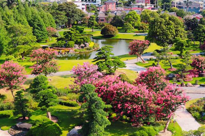 彰化热门网美点成美文化园，迎来6月到9月的紫薇花季，上百棵紫薇花在园区内盛开，园方特别规画一系列浪漫活动。（成美文化园／吴建辉彰化传真）