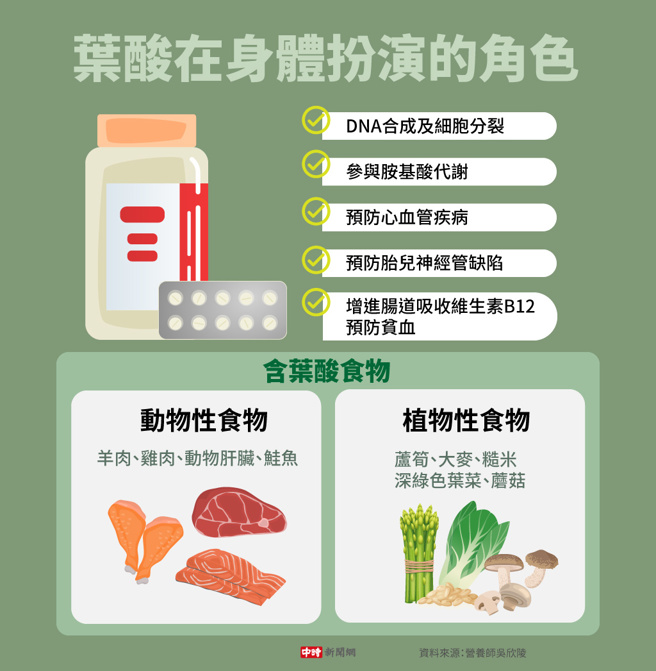 叶酸在身体扮演的角色(制图/陈友龄)