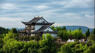 雲山茶海。（圖／旺北金津提供）