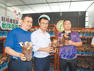 台灣首座 新社香菇強固型水簾溫室啟用