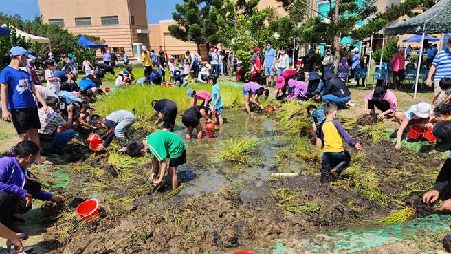 200名亲子在尖山电厂重温早期採荸荠的农事田园课。（许逸民摄）