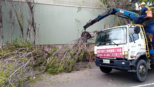 小港区山明路今路树倒塌，影响车辆通行。（翻摄照片／高雄洪靖宜传真）