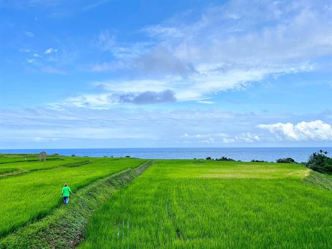 花莲县丰滨乡公所今年首次与游程贩售平台合作，推出11条路线游程，并提供免费交通接驳服务，让更多旅人体验在地的山海之美跟原民的人文风情。（丰滨乡公所提供／罗亦晽花莲传真）