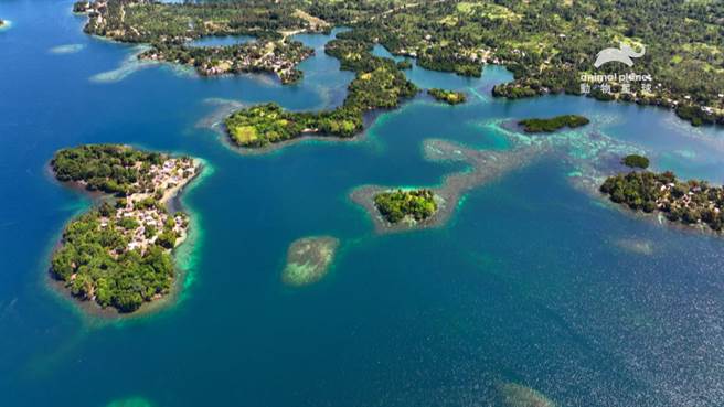 《海洋动物面对面特辑》巴布亚纽几内亚纯净的岛屿跟雨林，对肩章鲨是绝佳的演化地点。（动物星球频道提供）