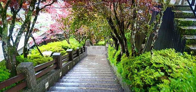 林务局罗东林管处投入人力进行园区内环境及各项设施检视及维护。（罗东林管处提供／吴佩蓉宜兰传真）