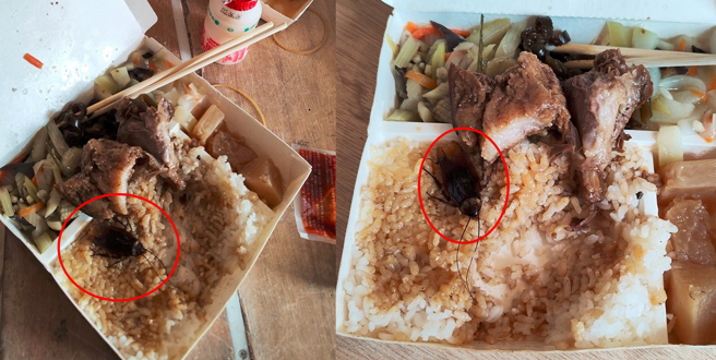 便当里的蟑螂完整，能清楚看见触鬚还有脚上的细毛。（图／《爆料公社公开版》）