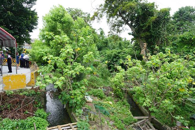 西汴干线社皮分线渠道多为裸露土崁，且水道空间环境凌乱。（陈淑娥摄）