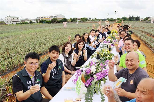 今农产品交流媒合会特地安排日商代表实际走进凤梨产地，在凤梨田摆设茶席，营造气氛。（吕妍庭摄）