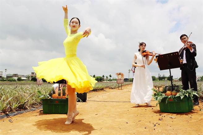 今农产品交流媒合会特地安排日商代表实际走进凤梨产地，并请来舞者演出。（吕妍庭摄）