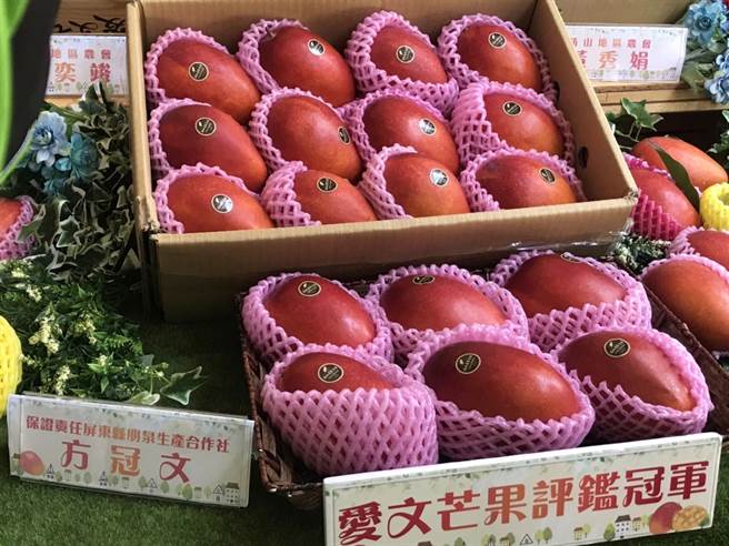 由屏县府举办的「优质爱文芒果」评鑑大赛结果1日出炉，由32岁青农方冠文拿下冠军。（谢佳潾摄）