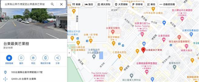 台东市区菩提树集体死亡，日前被设置地标为菩提树坟场。（摘自GOOGLE地图）