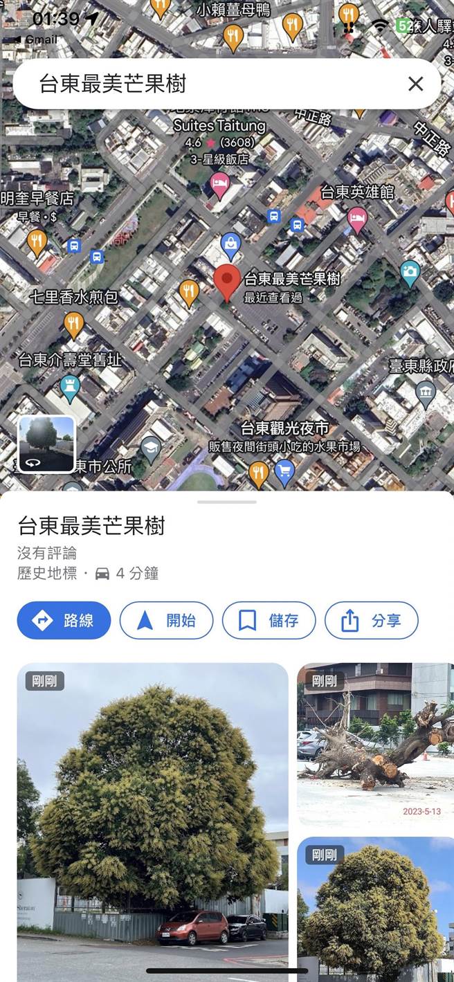 台东市老芒果树惨遭连根拔起，被设置地标为台东最美芒果树。（摘自GOOGLE地图）